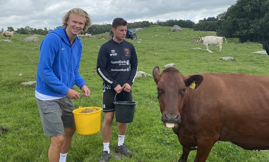 Leite direto da fazenda e carne de qualidade: o estilo de vida rural de Erling Haaland; vídeo