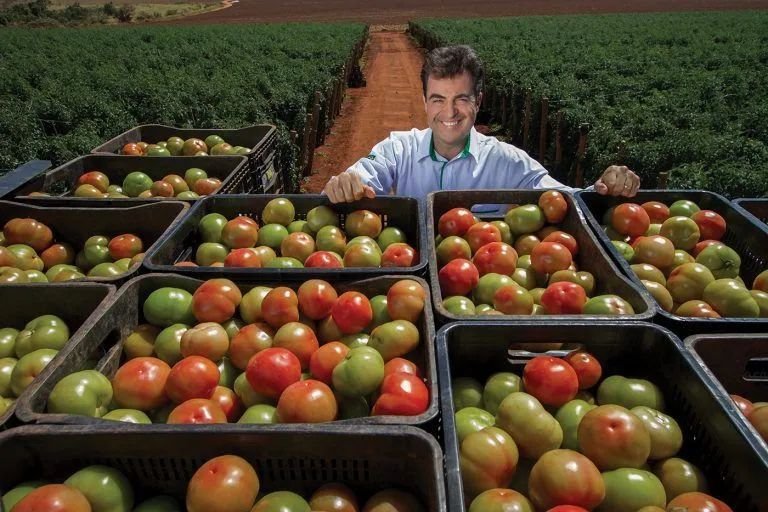 Grupo Trebeschi pede recuperação judicial; maior produtor de tomates do Brasil tem R$ 1,27 bilhão em dívida