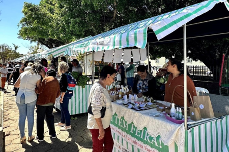 Feiras livres ganham força e impulsionam agricultura familiar em Minas