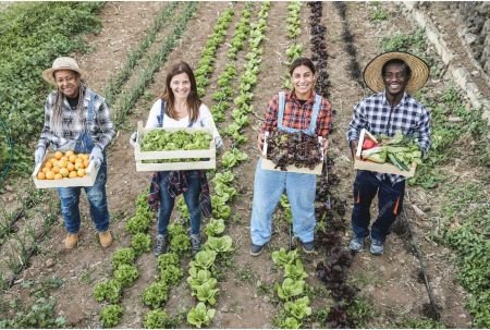 MG amplia regularização fundiária e chega a 270 municípios atendidos