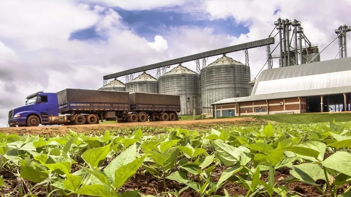 Aliança Agrícola do Cerrado, com dívida de R$ 1,1 bilhão, tem recuperação judicial aprovada pela Justiça