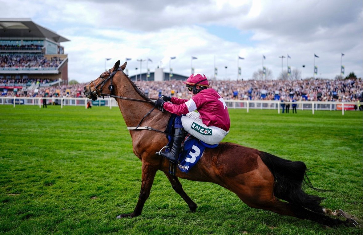 Vitória interrompida: Gold Dancer vence corrida e morre logo após, cena chocou o público; vídeo