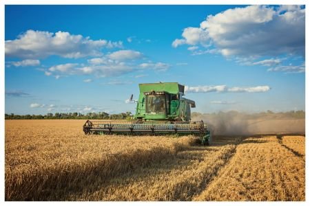 Agro brasileiro cresce e Minas Gerais se consolida como potência