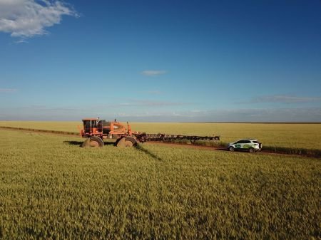 Em alta, crédito rural empresarial atinge R$ 404 bilhões no Plano Safra 2025/2026