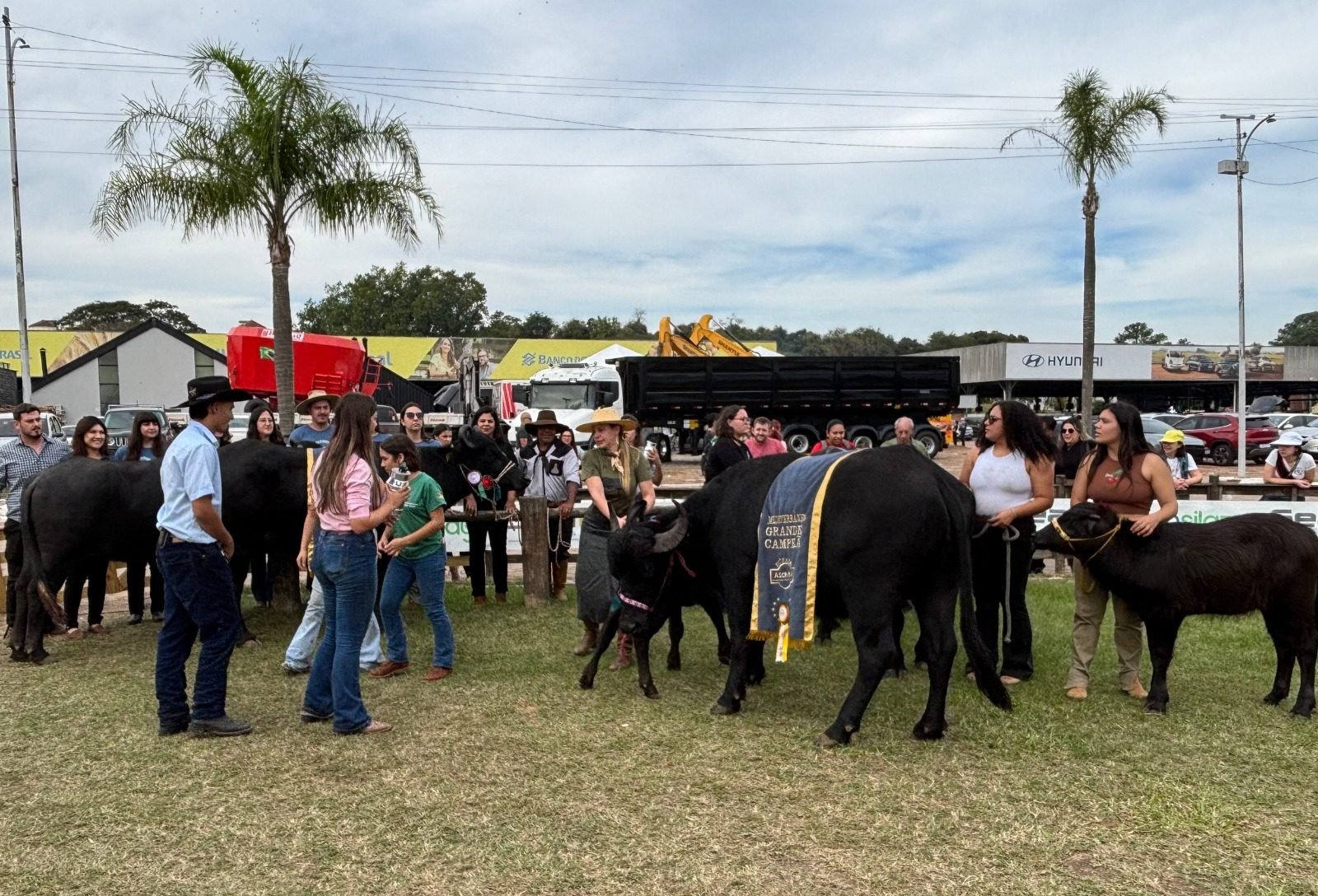 Abertas as inscrições para participação dos búfalos na Fenasul Expoleite