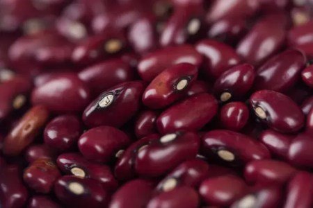 Feijão inicia abril em queda com retração da demanda e ajuste de mercado