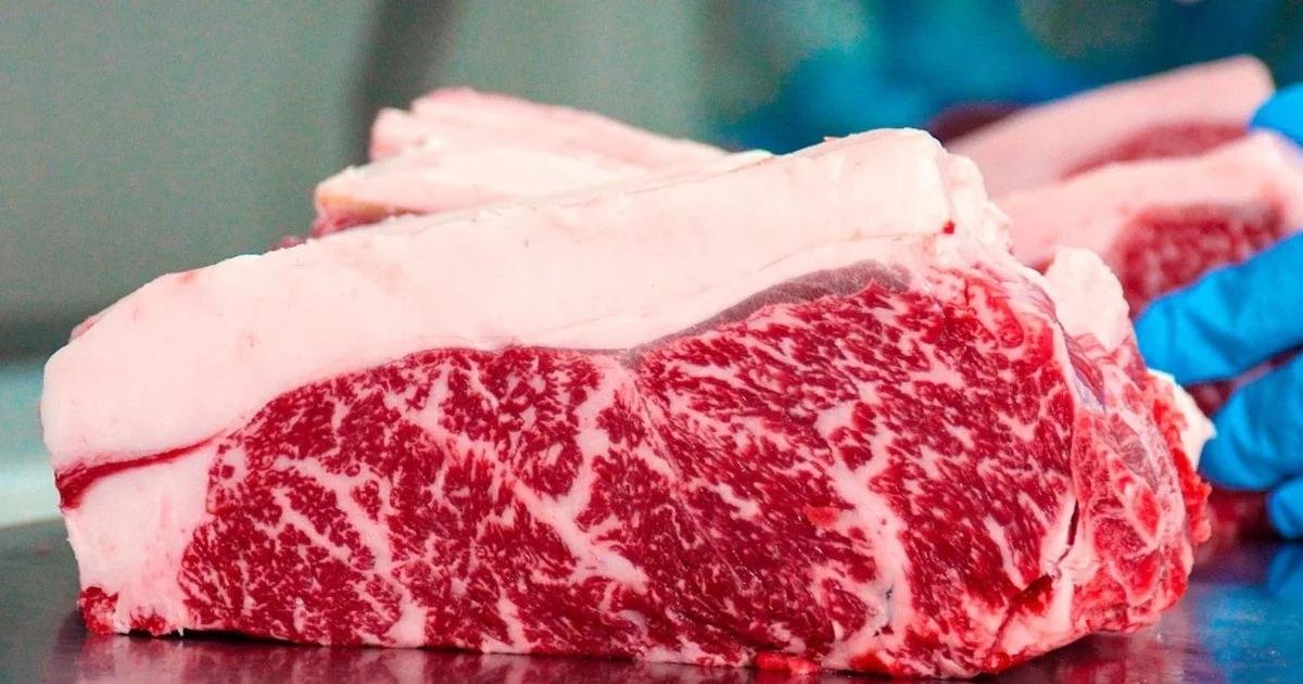 Brasil deve seguir como maior produtor mundial de carne bovina ampliando vantagem sobre os EUA