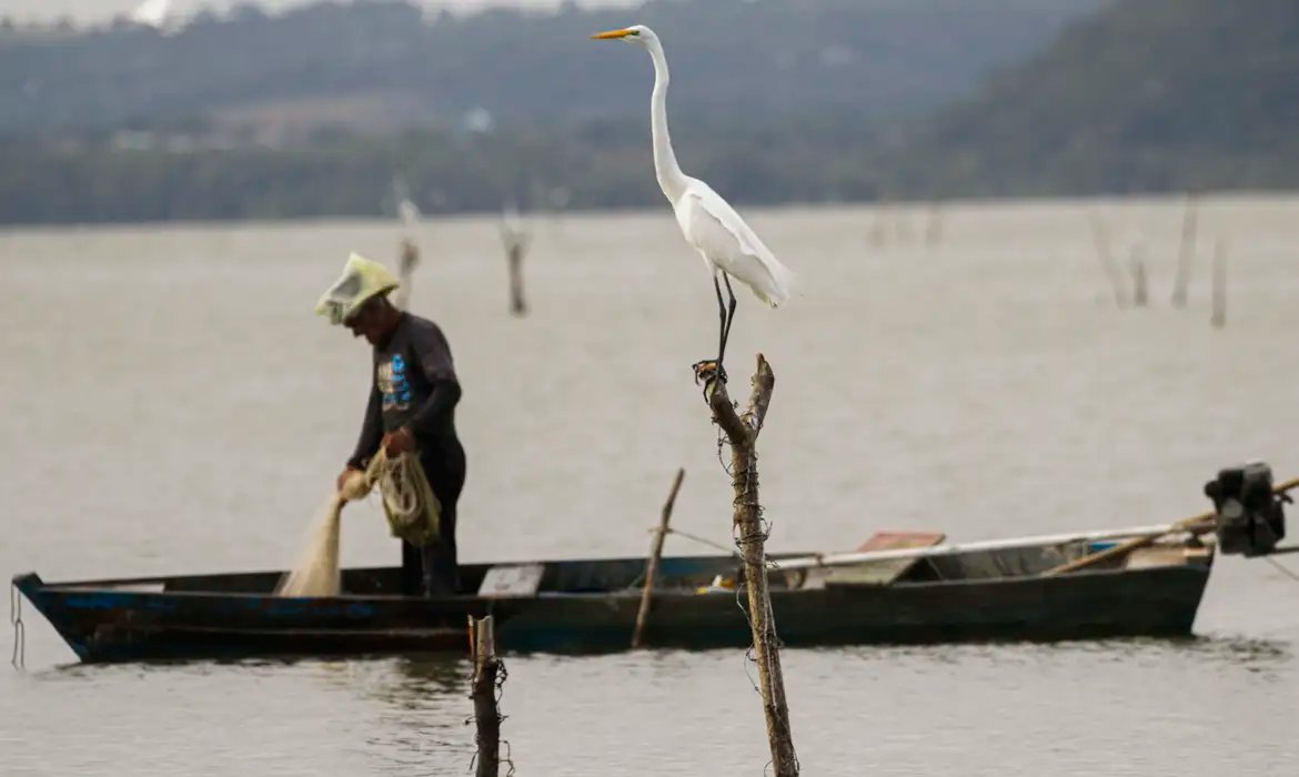 Mudanças aprovadas para o seguro-defeso previnem fraudes, diz relator