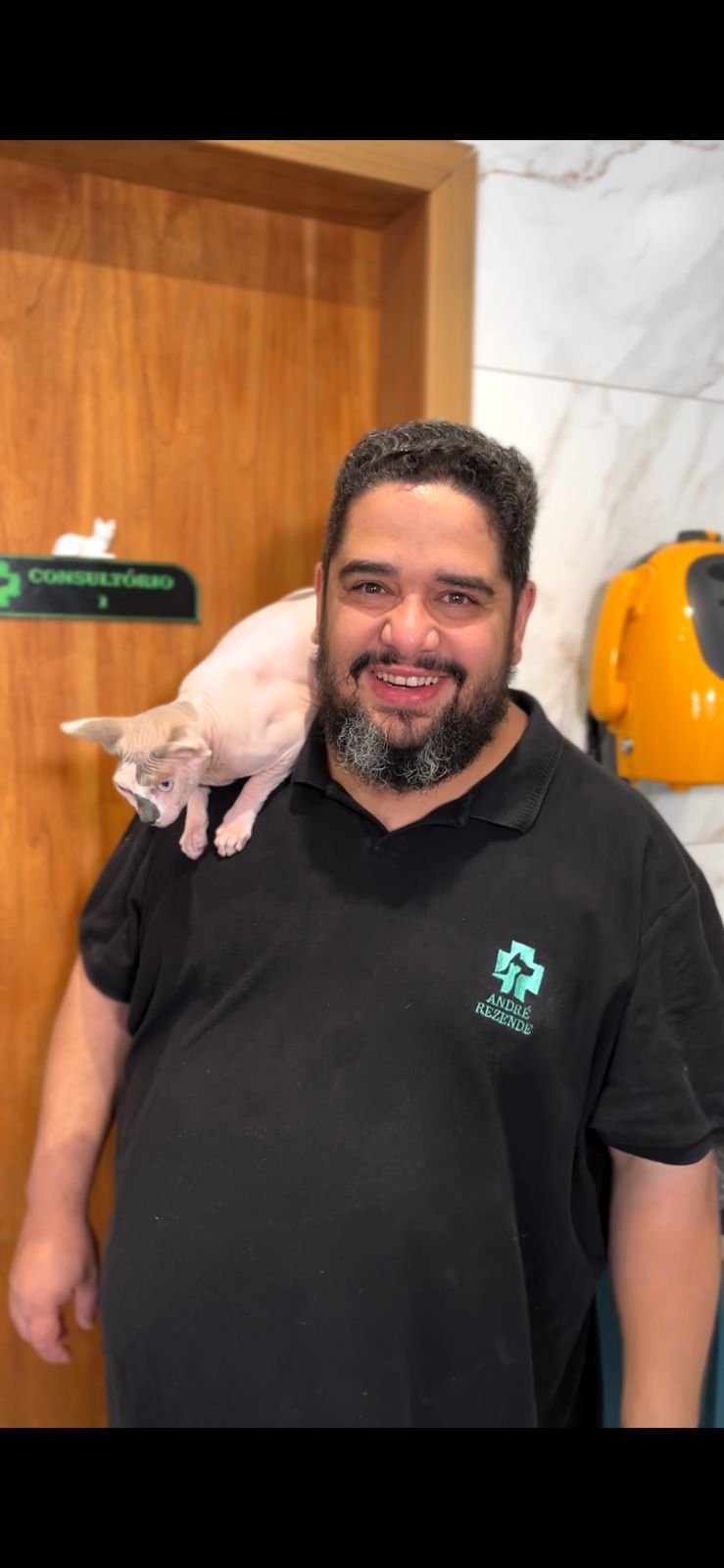 Piometra: doença grave em gatas pode ser prevenida com castração, alerta Dr. André Rezende